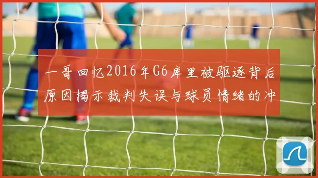 一哥回忆2016年G6库里被驱逐背后原因揭示裁判失误与球员情绪的冲突